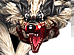 ���̴���
